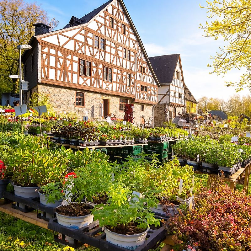 Garten  und Pflanzenmarkt lgnzlx