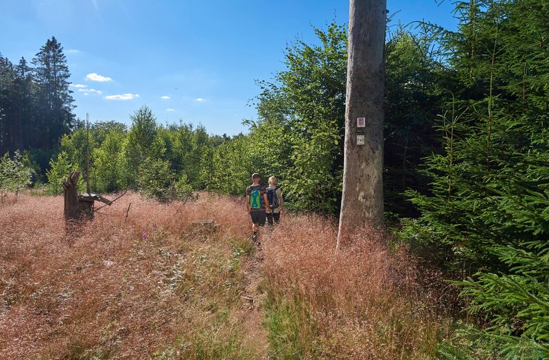 Traumschleife Römer Keltenpfad lcfh0u