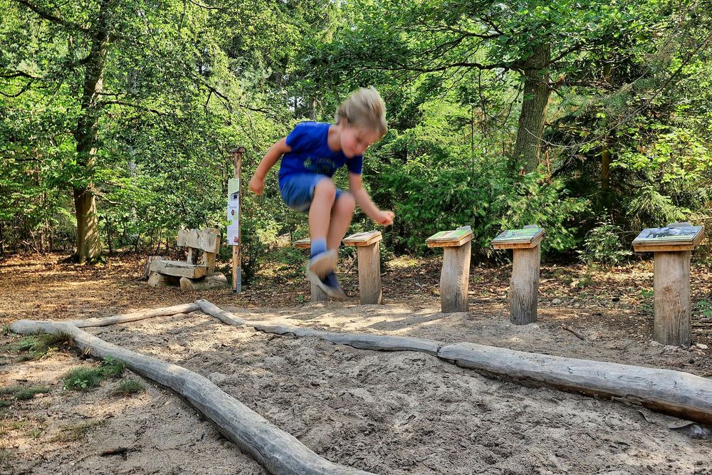 Rottentour im Langenlonsheimer Wald   OFFIZIELLE WEGBESCHREIBUNG! lbcq9r