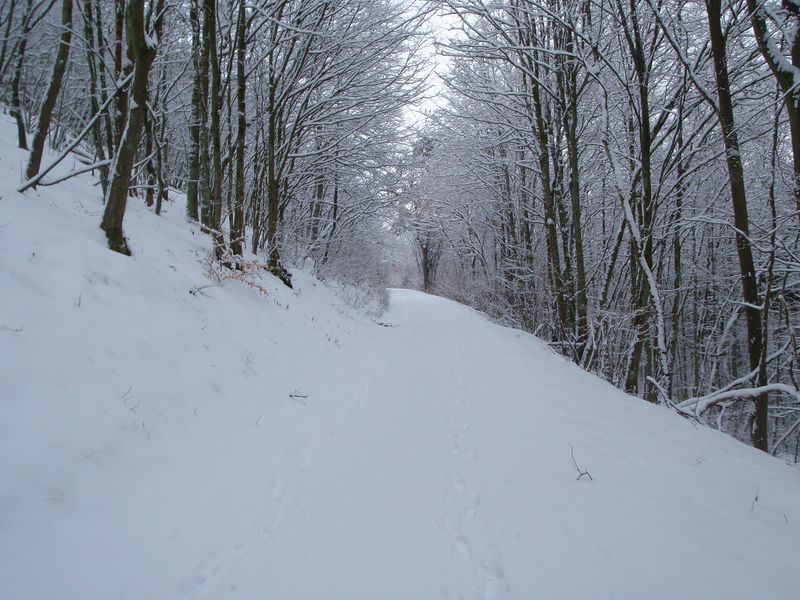 Rund um Oberbrombach lc7av8
