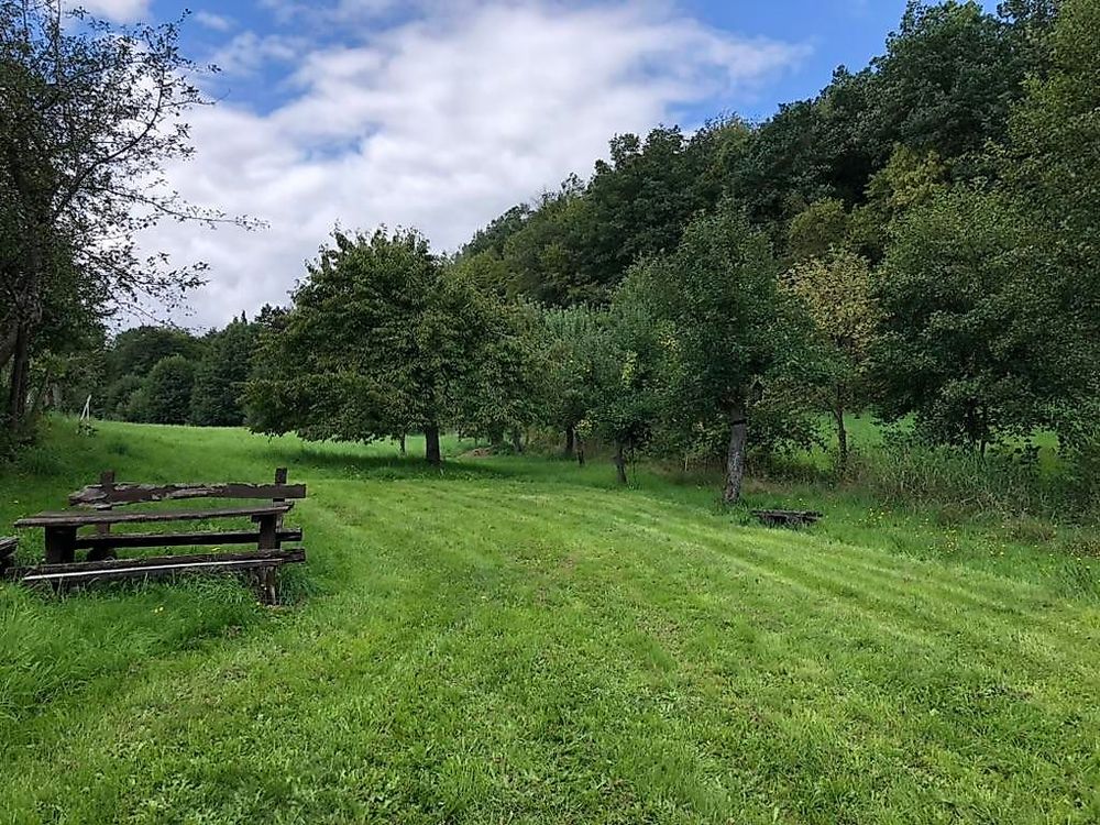Schwollbachhof   Naturerlebnis im Hunsrück lc6x3e