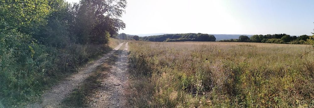Pissamann Rundwanderweg Zell Merl kzwy7s