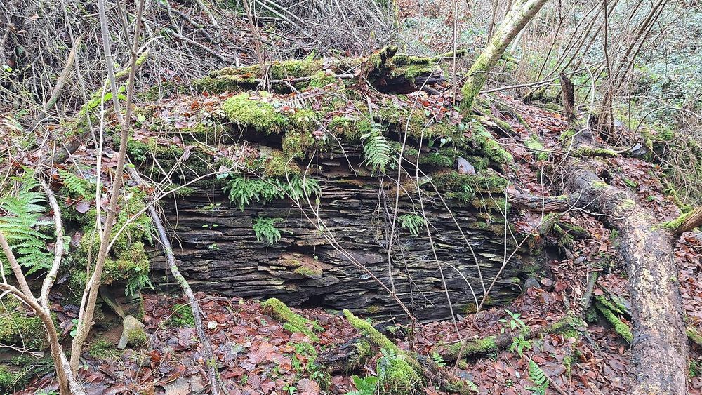 Mühlenruine an der Rauschenburg kyynm6