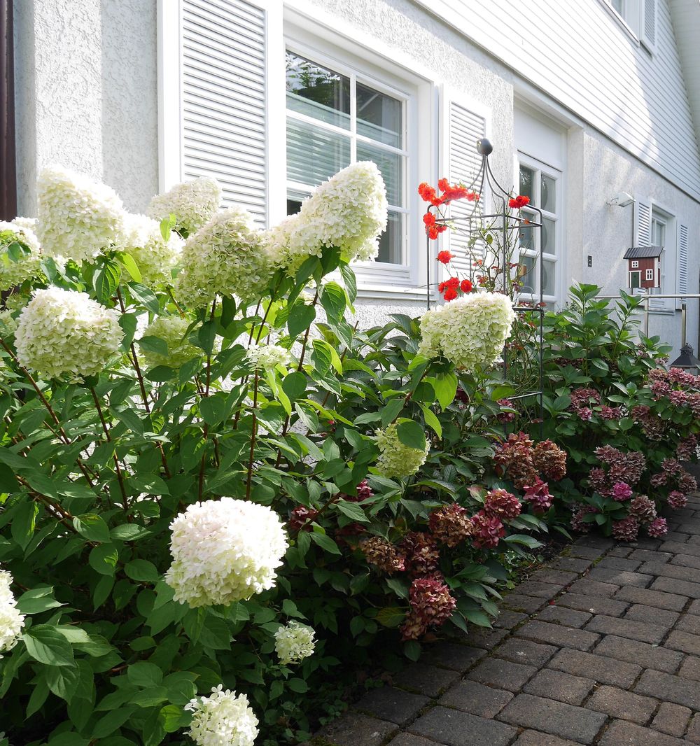 Landhaus SoonZauber kxcqvi