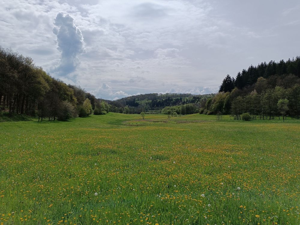 Rundwanderweg Hildebrechts Heimat kwsltn