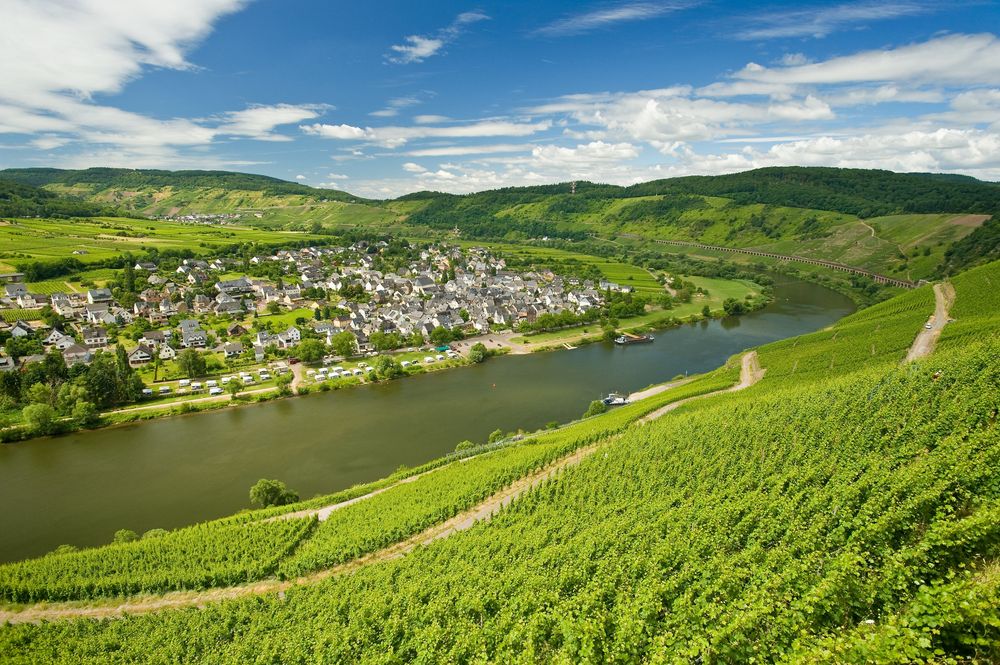 Weinlehrpfad Pünderich m8pjvn
