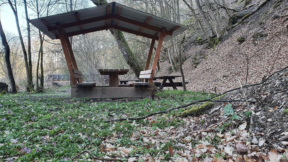 Perdskimbel   Traumschleife Murscher Eselsche m7qj5y