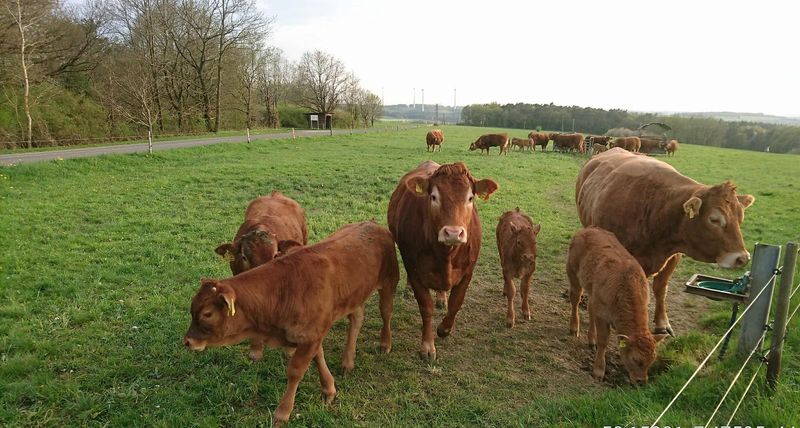Biotop am Sonnenhof Traumschleife Rabenlay ktzpa6