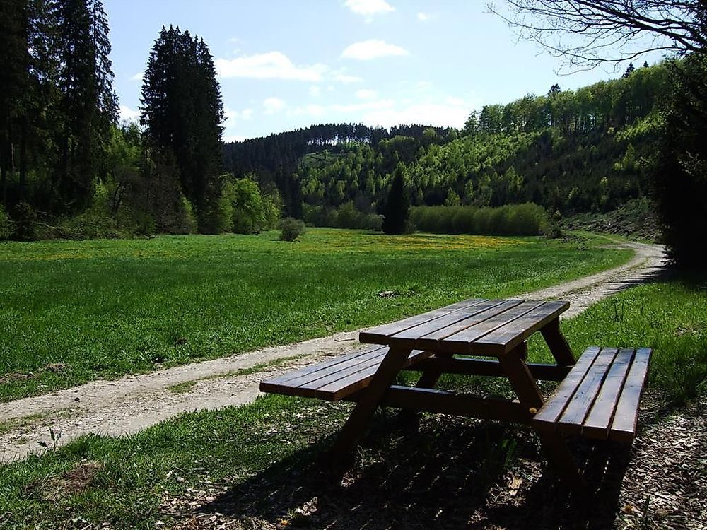 Traumschleife "Frau Holle" ktbugd