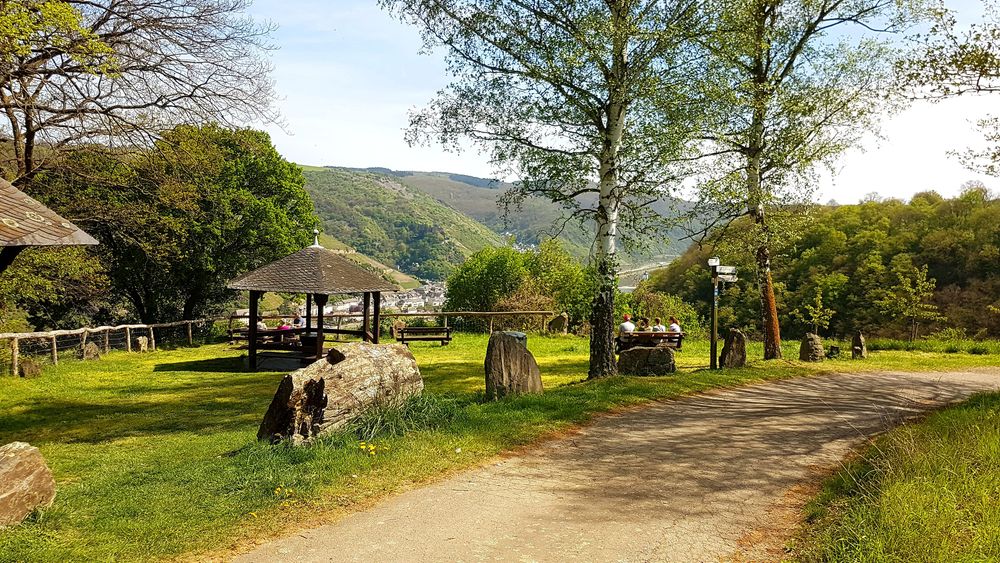 Traumschleifchen Pfalzblick m714fi