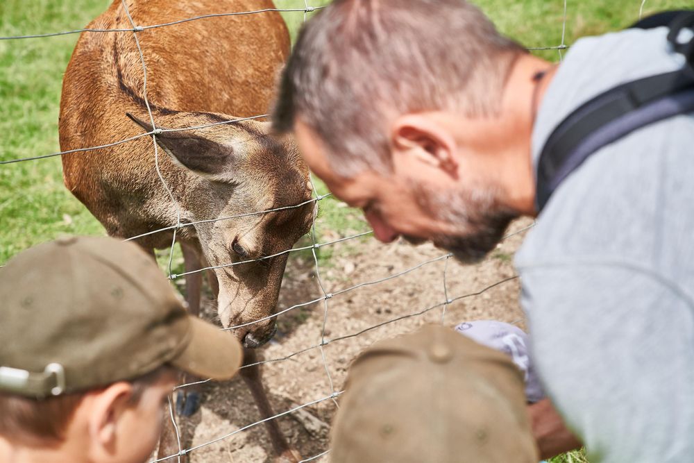 Tierpark Rheinböllen ksk5yt
