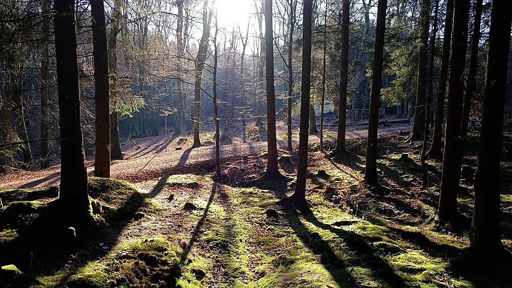 Traumschleife Greimerather Höhenweg m5fk0q