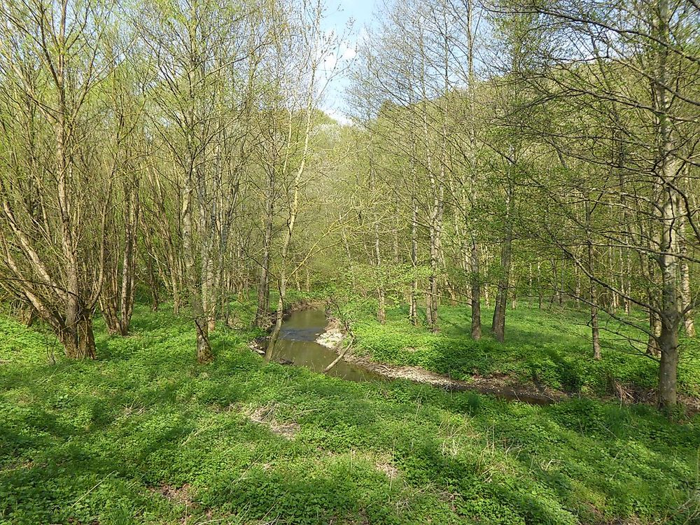 MTB 8 Höhen Tour kqm115