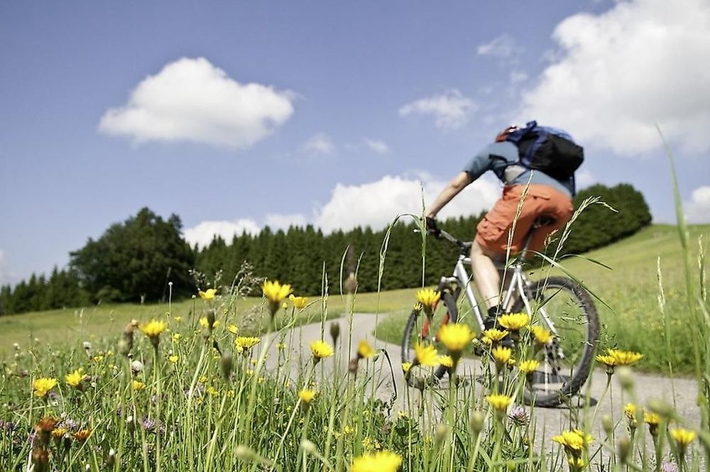 Mountainbike Route 2 m2y5ru