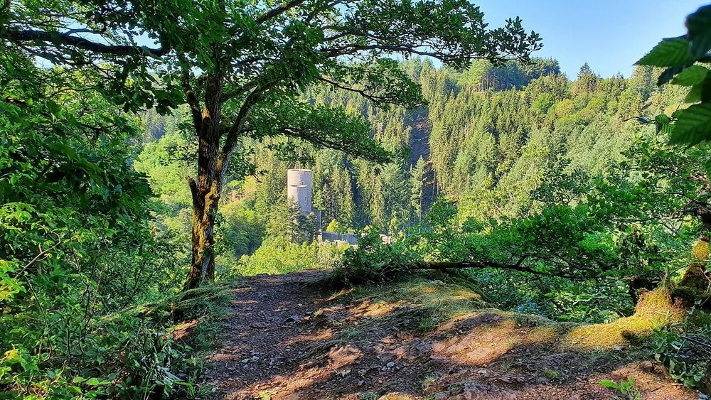 Aussichtspunkt Burgblick koyv1b