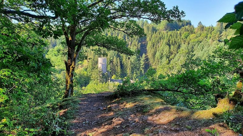 pois/aussichtspunkt-burgblick-961c
