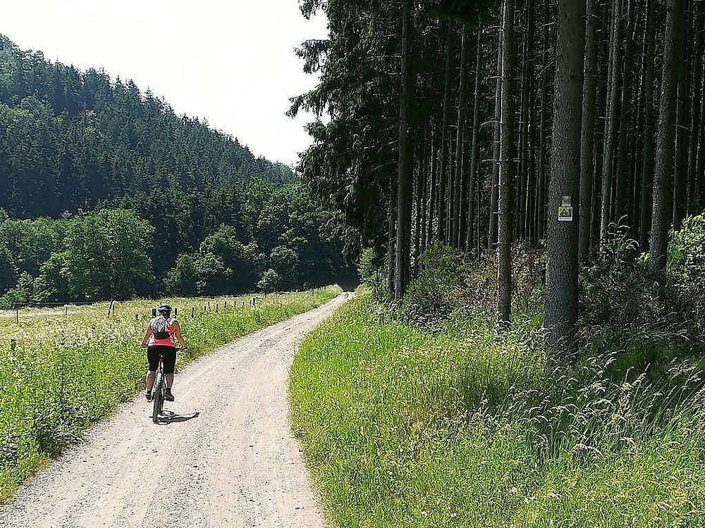 Wald  Wiesen  Wacken Radweg m1slcx