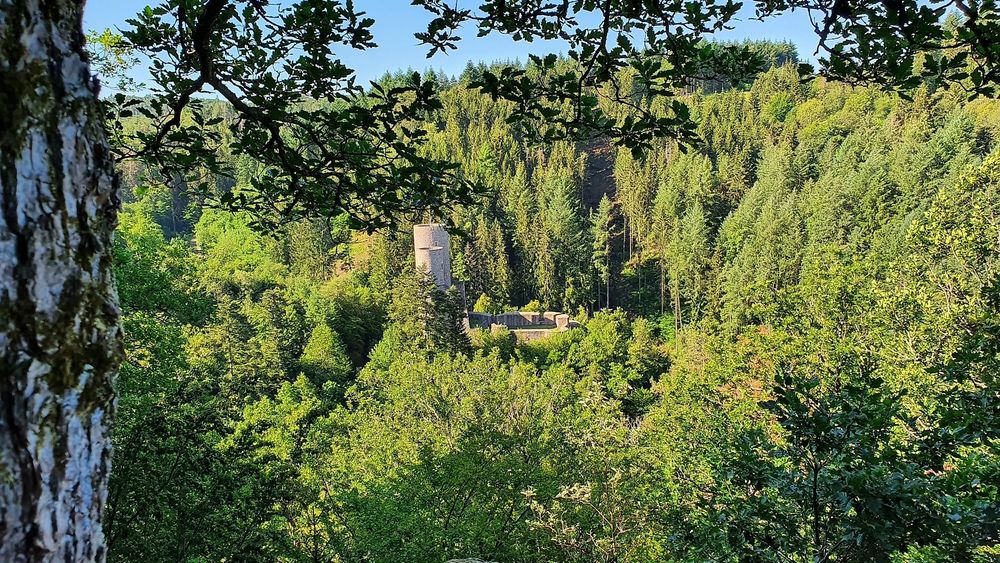 Frauenburg m0b61k