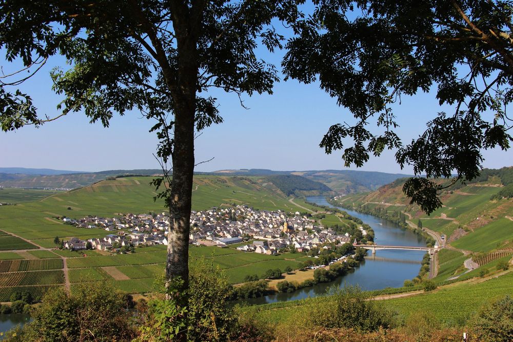 Ferienhaus Haus Waldblick ko6ey0