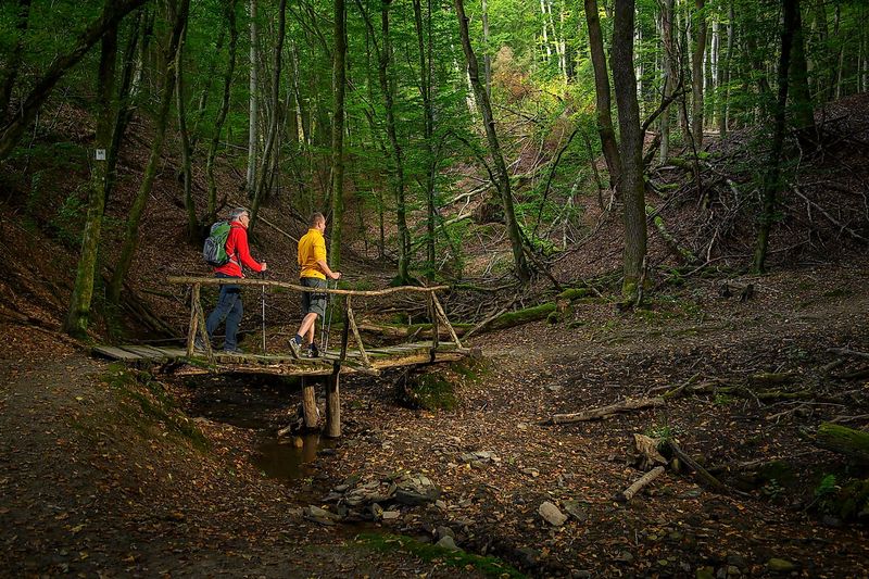 tochten/tiefenbach-pad-5435