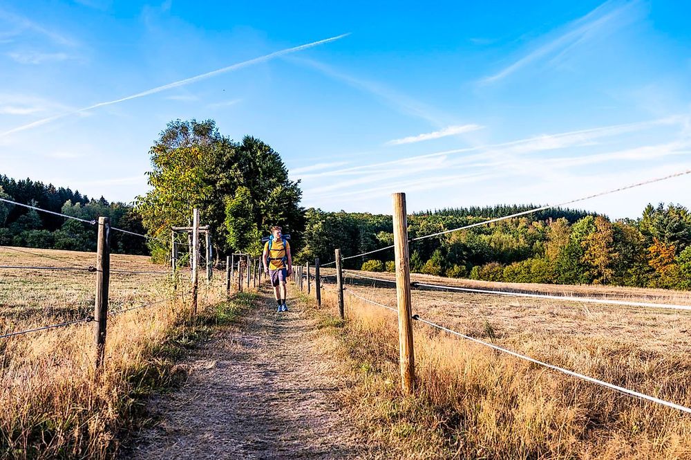 Traumschleife Felsenberg Runde kltj7w