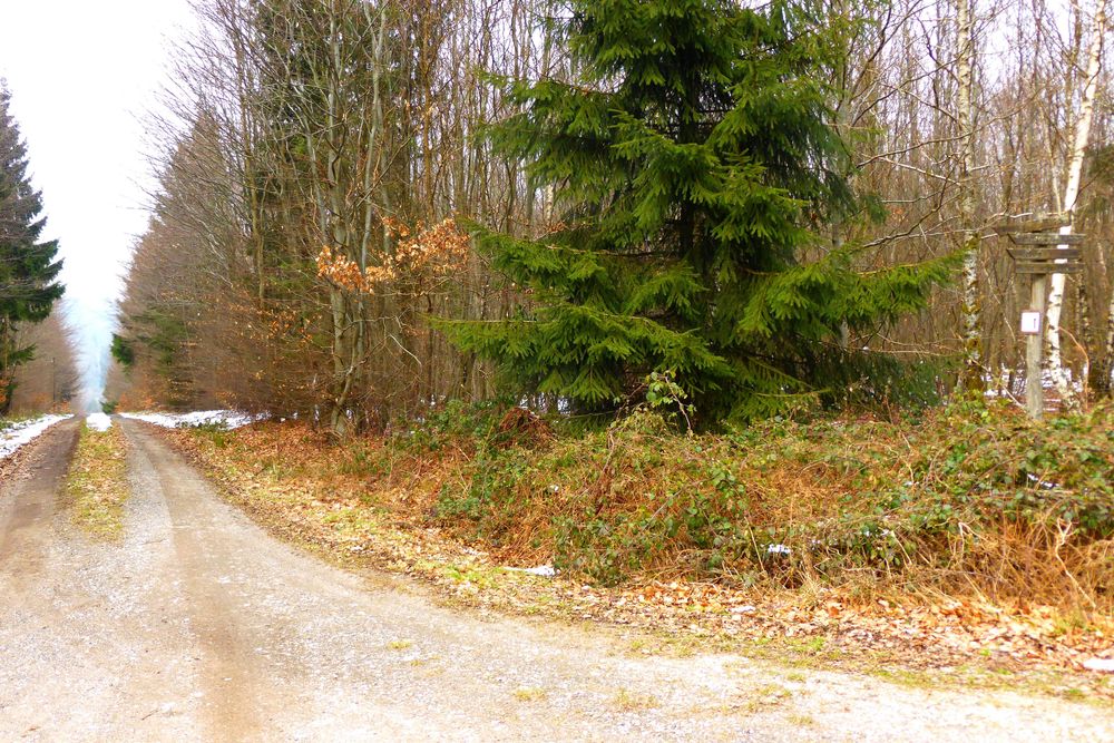 Soonwaldsteig   Zuweg Tiefenbach kjyfcm