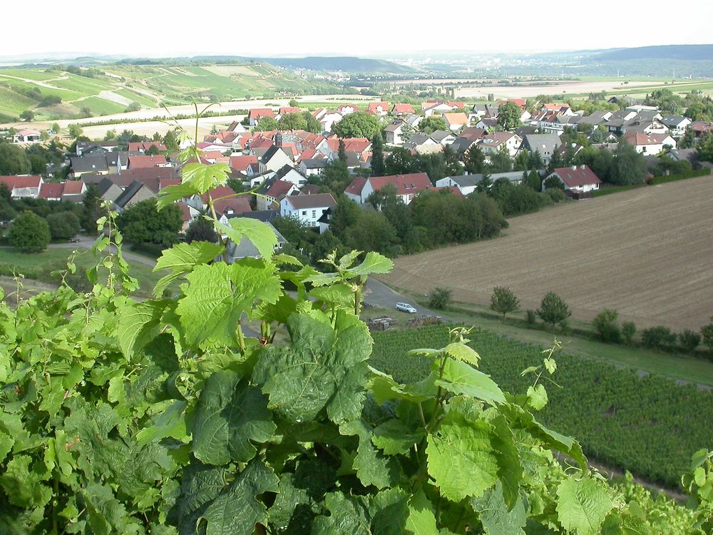 Sommerloch im Naheland "Sommerlocher Weg" kl6ev5