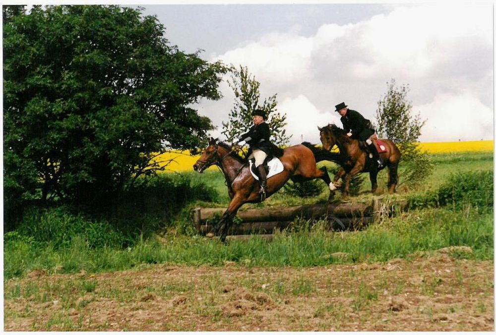 Reiten in Kell am See kjqx2m