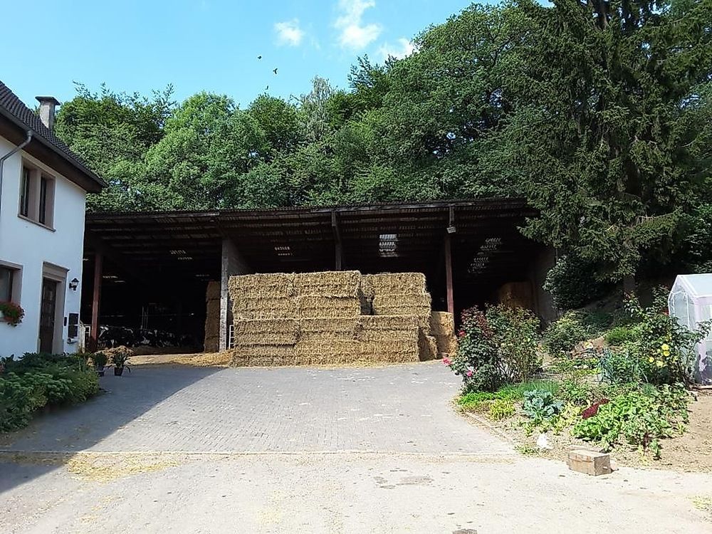 Ferienwohnung Marquardt kdhls1