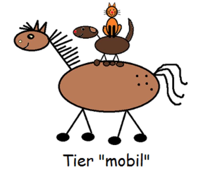 pois/tiermobil-practice-for-holistic-animal-physio-a3cf