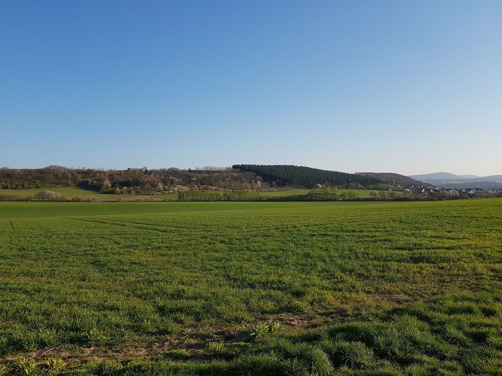 Rundtour Straußberg Wingertwanderweg in Hargesheim jzrui6