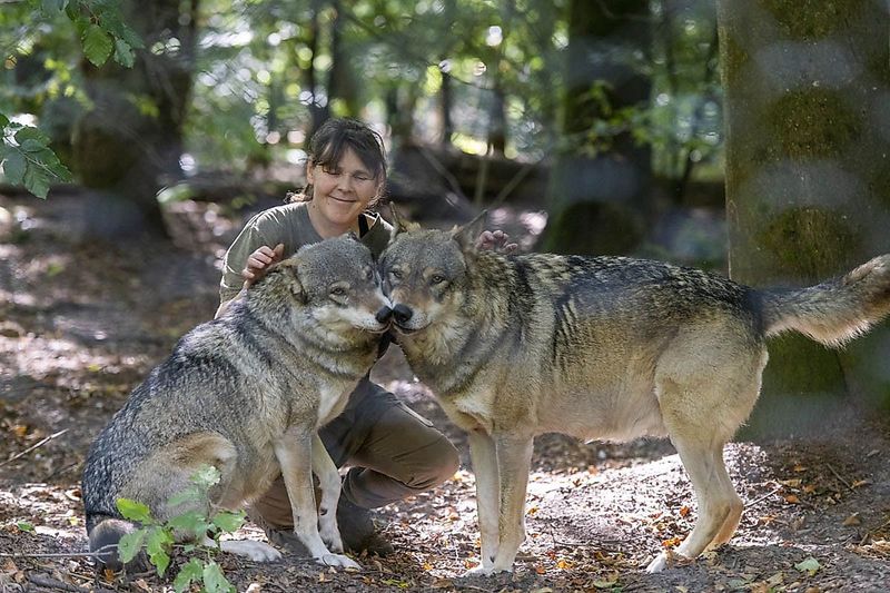 Traumschleife Wolfsweg jyl7hy