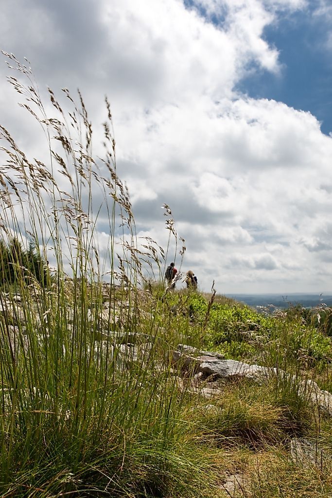 Saar Hunsrück Steig   09