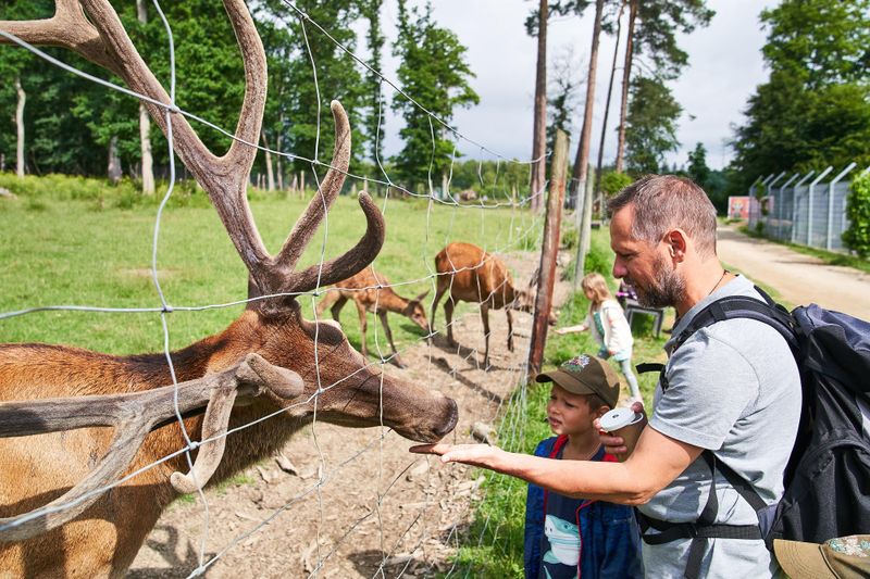 Tierpark Rheinböllen l9u6fz