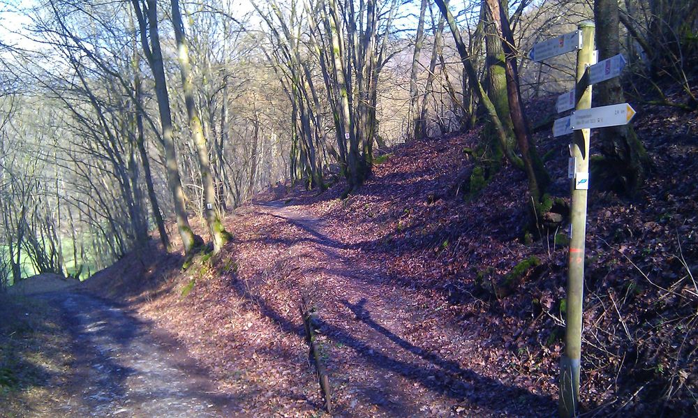 Soonwaldsteig   Zuweg Schneppenbach jwlcem