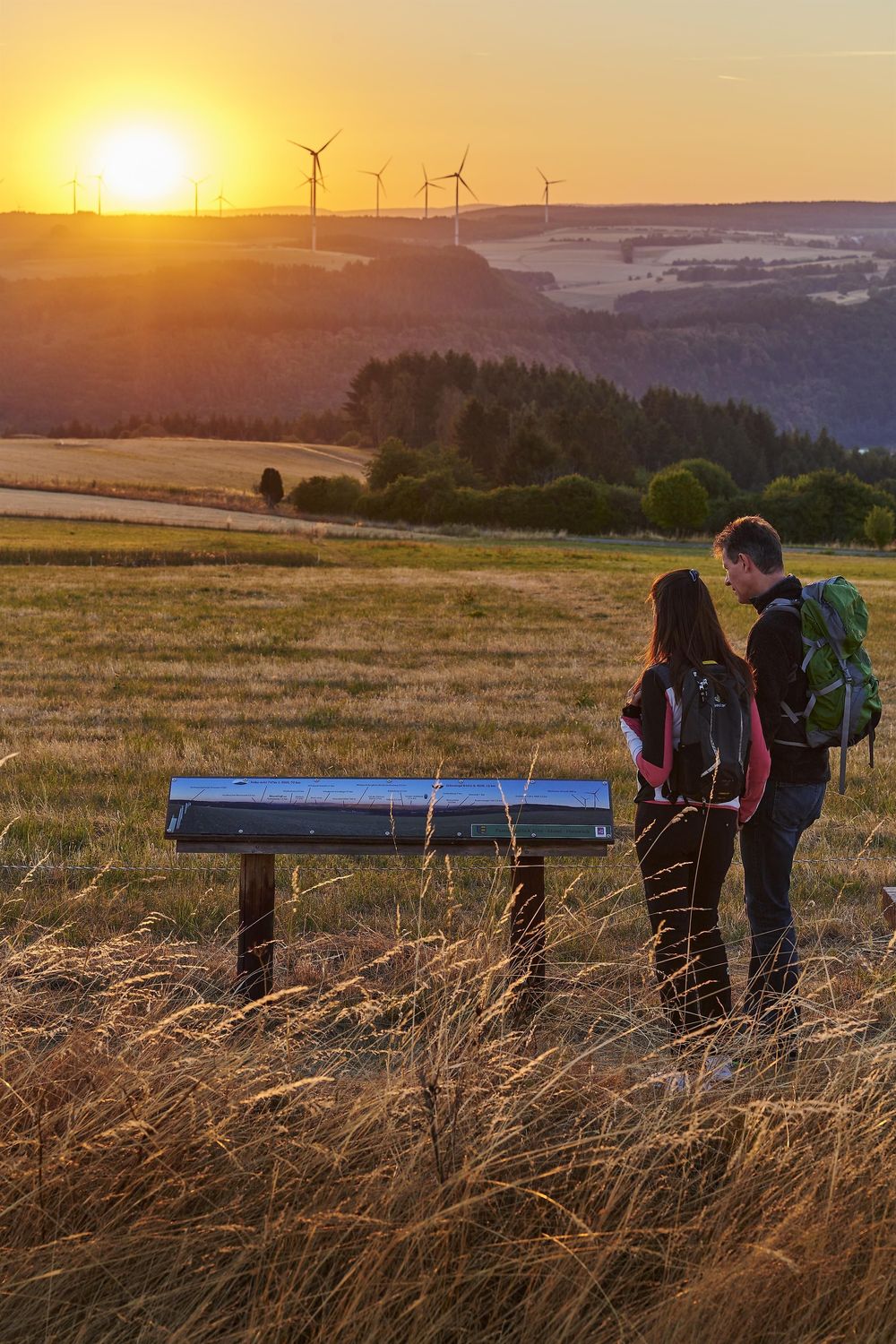 Eifel Hunsrück Blick an der Traumschleife 5 Täler Tour l90587