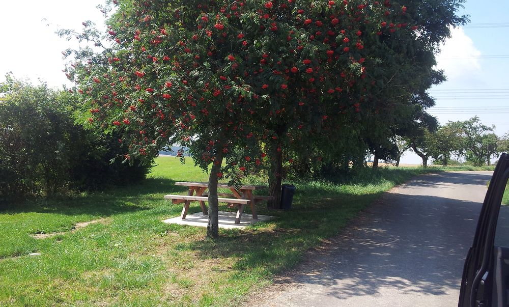 Rundweg 18: Ney   Hierer Mühle   Ney l6v081