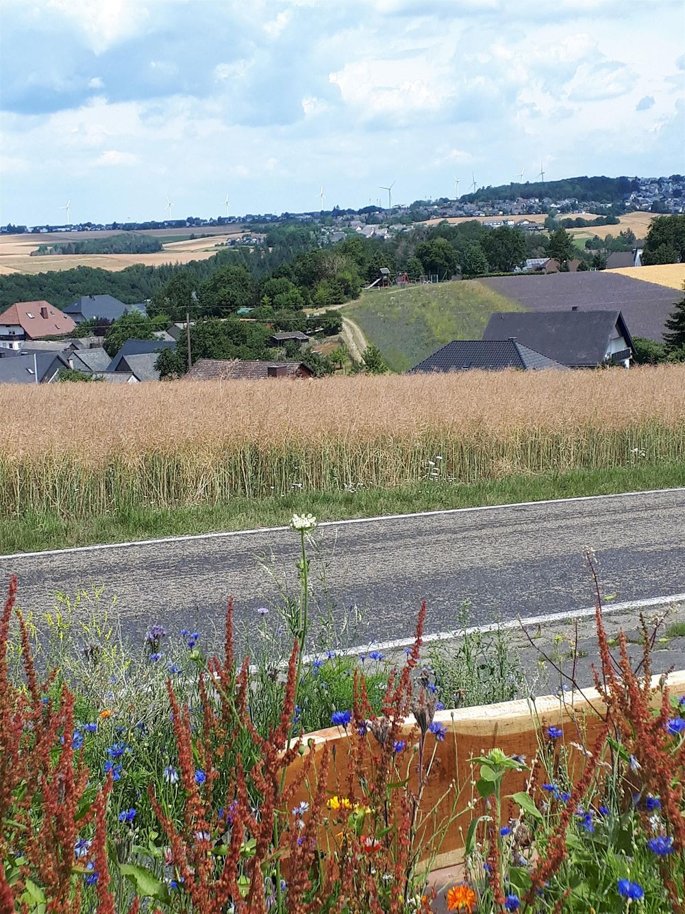 Bildstock am Wanderweg Schessels Beersche jtocbl