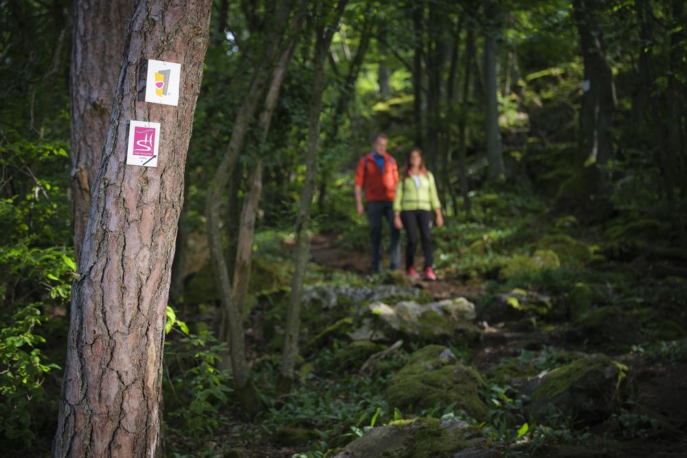 Campingpods Heimat l5zrd6