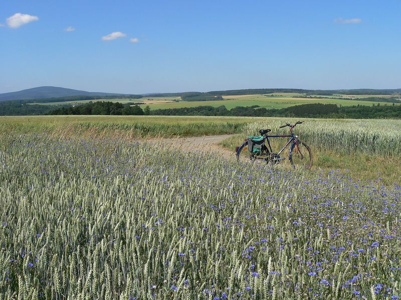 tochten/luetzelsoon-fietspad-9a62