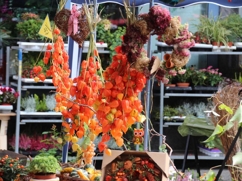 Kunsthandwerker  und Bauernmarkt mit verkaufsoffenem Sonntag jswjpa