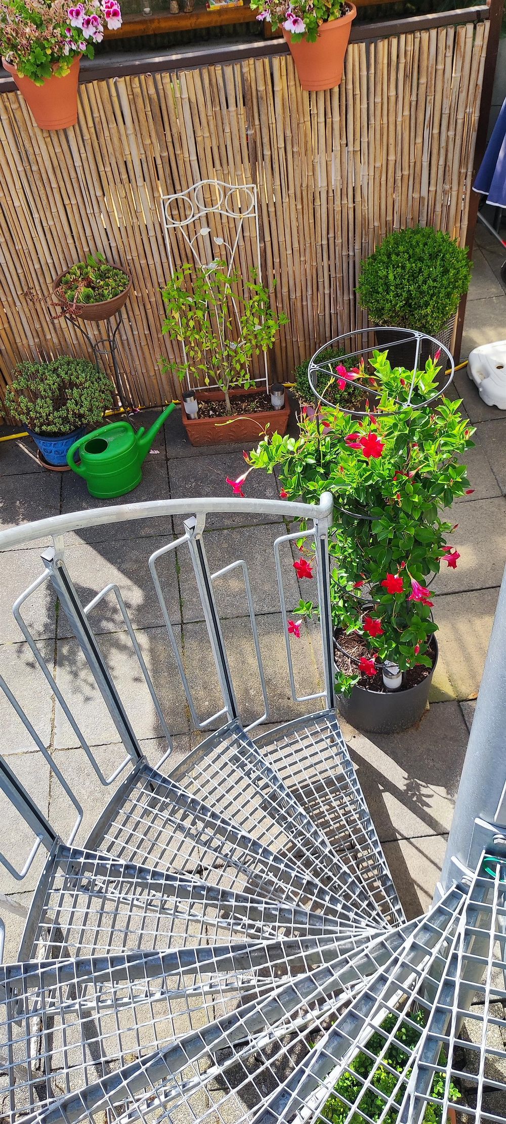 Ferienwohnung Bellevie l5llq4