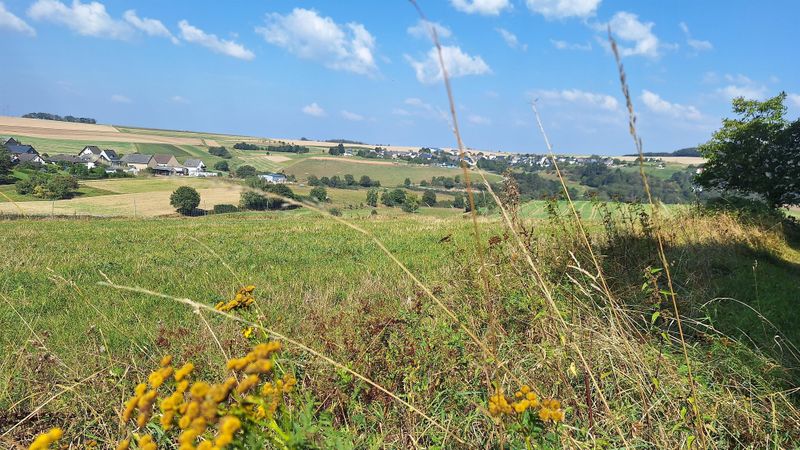 Ginsterberg in Birkheim l2pvgy
