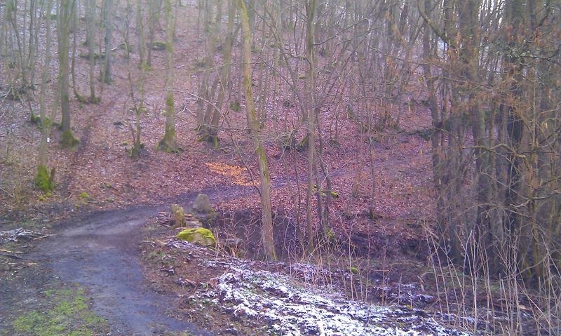 Soonwaldsteig   Zuweg Hennweiler 2 l1se6r
