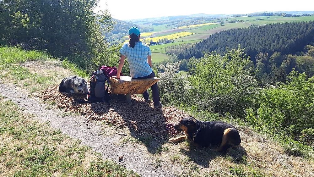 Vitaltour   Mit Krebs un Karer unerwäschs jnz9lm