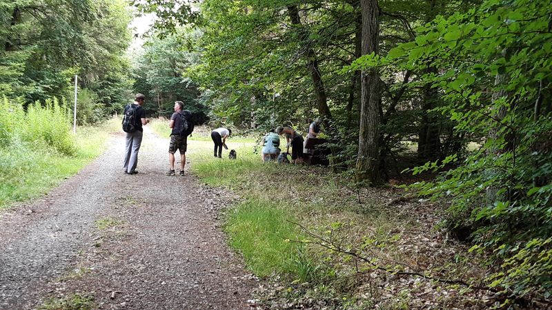 events/soonwald-fuer-xsuchende-5995