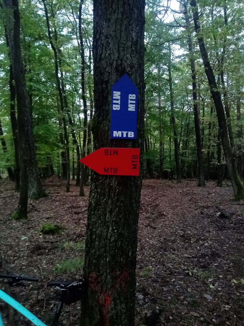 RadLust MTB Trail WaldMeister jlpgkp