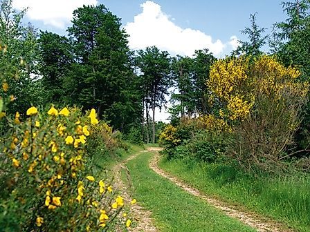 Gelber Punkt (Weißenfels): Spabrücken Weissenfels Walderlebniszentrum jjvoig