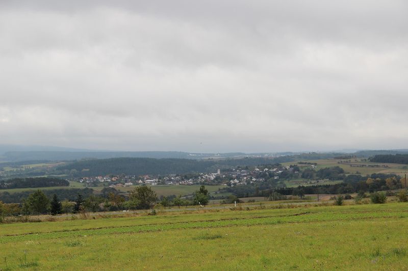 Traumschleife "Rockenburger Urwaldpfad" ji3a61
