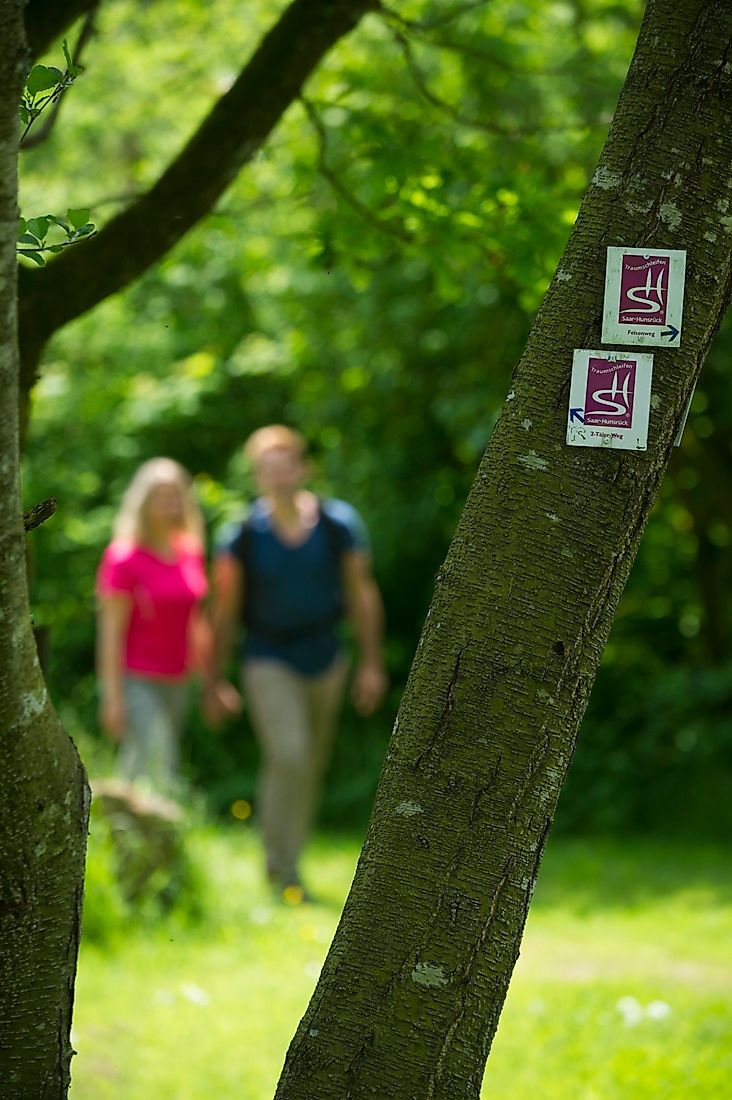Traumschleife Wildnis Trail Weiskirchen jfynrz